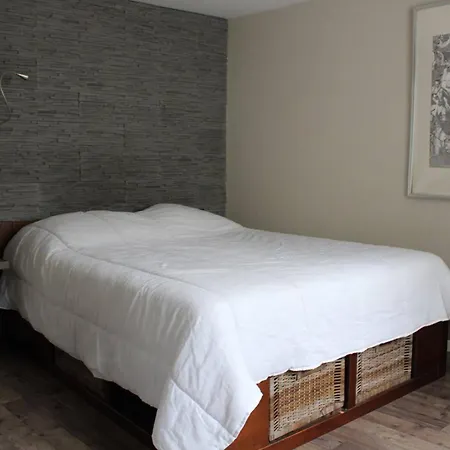 Appartement Appt 3 Pieces - Lr180-007 *